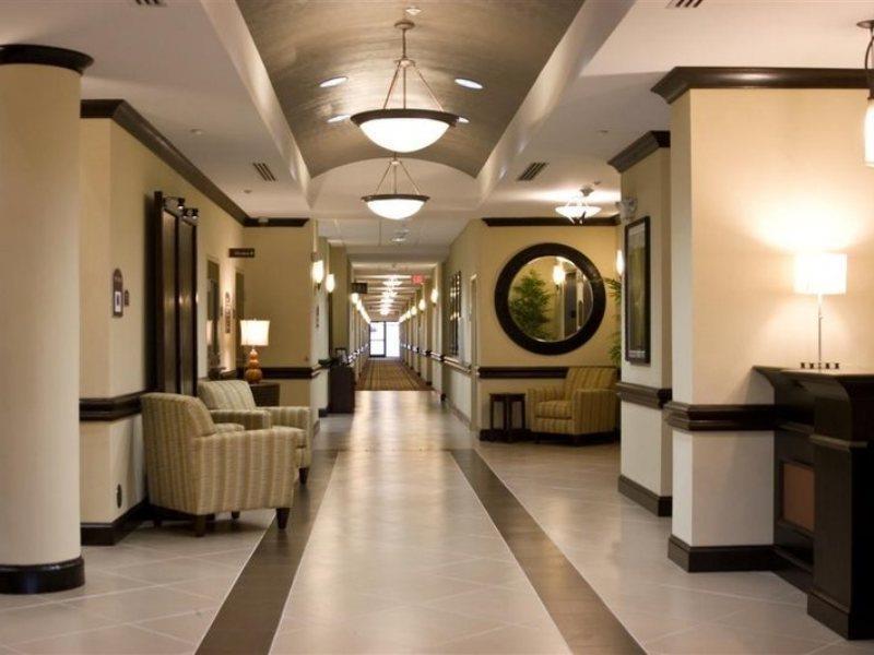 Holiday Inn Express Hotel & Suites Tampa-Usf-Busch Gardens By Ihg Exterior photo